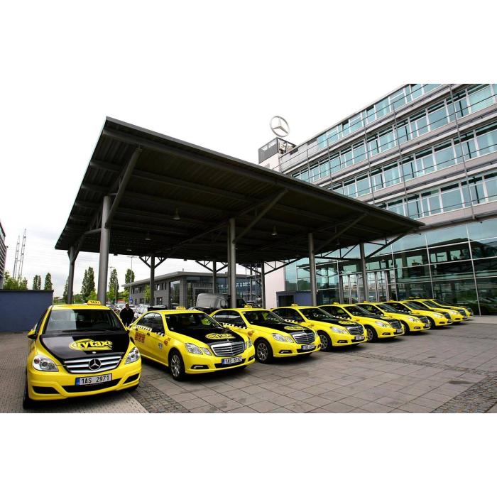 KPMF Primrose k88032a