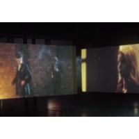 Aslan RP 35 RearProjection Film 9a14135r2