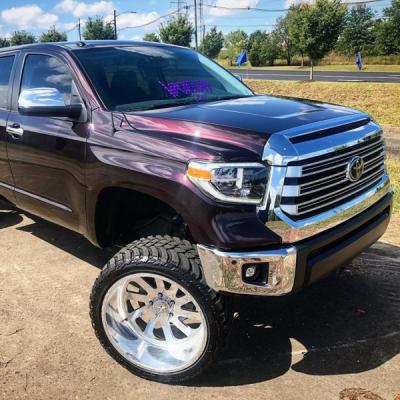 KPMF Midnight Crimson Bloom k75447a