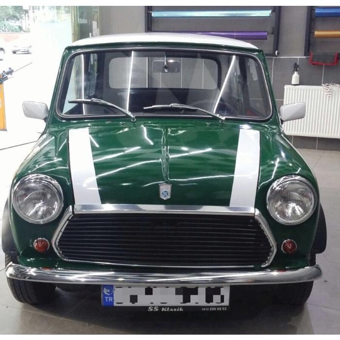 iSee2 Hunter Green 70.700a